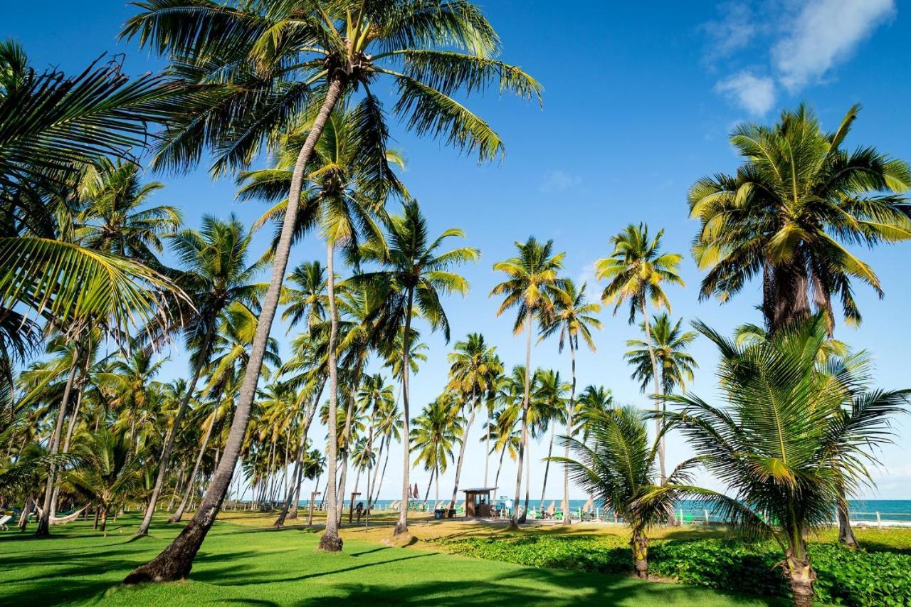 Paraiso Na Terra - Carneiros Beach Resort Tamandaré Dış mekan fotoğraf